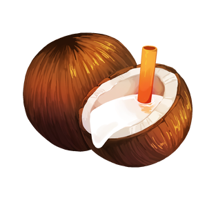 RECIPE COCONUT MILK.png